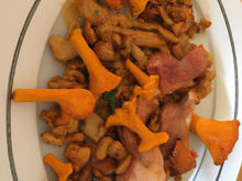 Chapon aux girolles