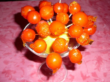 Présentoir de chupachups de tomates cerise caramélisées