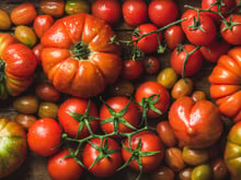 Tomate cerise ou ordinaire : lequel de ces deux fruits est le meilleur pour la santé ?
