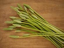 Attention aux asperges des bois : les autorités sanitaires alertent sur un risque d’intoxication