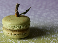 Dans le 'secret' des macarons
