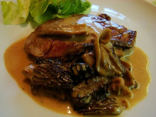 Sauces aux morilles fraiches