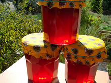 Gelée de coings et de pommes