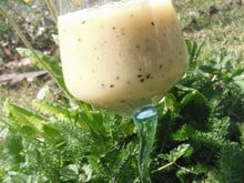 Smoothie vitaminé rapide