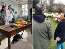 Les “Coups de pousse” de 750g pour la ferme pédagogique et la filature de laine du Petit Auney (Bocage du Mont Saint Michel)