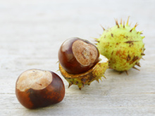 Vous avez juste à vous baisser en ce moment pour le ramasser et c’est un anti-mites parfait !