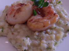 Risotto aux noix de Saint Jacques et gambas