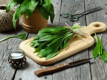 5 recettes à l’ail des ours pour changer du pesto et se régaler jusqu’à la fin de la saison !