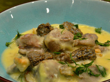 Blanquette d'agneau aux morilles