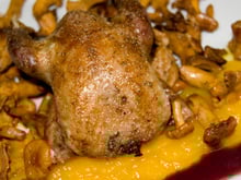 Pigeon ramier, compote de potiron à la vanille, chanterelles, sauce au marsala