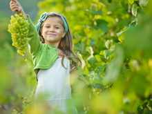 Raisin : un petit fruit, de grands bienfaits