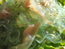 Salade de méduse