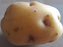 Pomme de terre enchanteresse