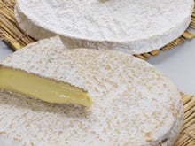 Cannelloni aux champignons gratinés au brie