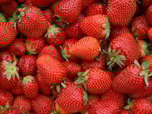 Ne jetez pas vos queues de fraises, c’est un trésor (surtout pour vos plantes)