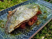 Filet de dorade à la tomate et sauce basilic