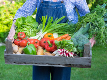 Cet aliment qu'on délaisse de plus en plus est pourtant riche en prébiotiques, indispensables pour un bon microbiote !
