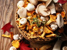 Vous mangez vos champignons crus ? Voici pourquoi il vaut mieux éviter