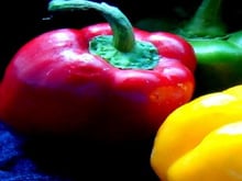 Tricolore de poivrons, roquette, parmesan