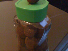 Truffes pralinées