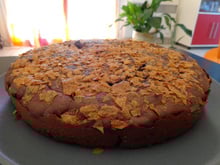 Gateau au chocolat en poudre