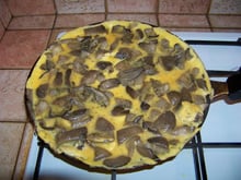 Omelette aux pleurotes