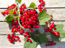 Les fruits et les légumes qui sont de saison en juin