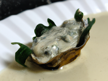 Emulsion d'oyster leave à la haas