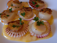 Coquilles Saint Jacques au cidre et à la crème fraîche