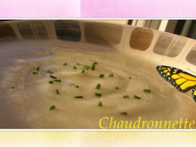 Crème de choux fleurs