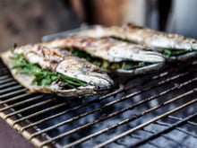 Maquereau au barbecue