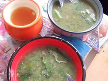 Crème de fanes au citron kéfir