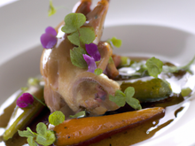 Lapin du Manoir de la Bonnerie en gelée fine