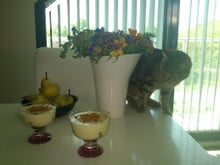 Tiramisu aux poires et au chocolat blanc