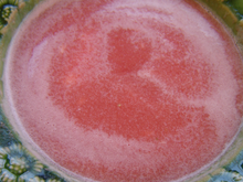 Soupe froide de melon et pasteque