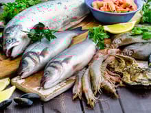 Quels sont les poissons de saison en hiver ?
