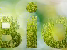 Labels Bio : est-ce qu'ils se valent tous ?