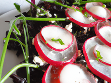 Carpaccio de radis noir, ricotta, vinaigrette à la tomate et herbes fraîches