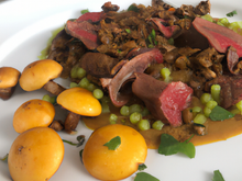 Pigeonneau aux girolles et lentilles