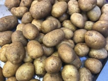 Les pommes de terre au four explosent-elles vraiment si on oublie de les piquer ?