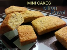 Mini Cake citron Pavot