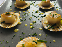 Coquilles Saint-Jacques sur lit de poireau et Noilly