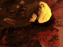 Truffes au chocolat pour café gourmand