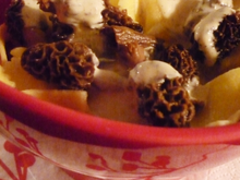 Tagliatelles sauce moutarde & morilles