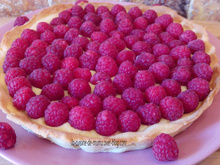 Tarte aux framboises sur sa crème diplomate