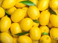 Au frigo ou à température ambiante : quelle est la meilleure option pour conserver longtemps ses citrons ?