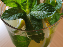 Tonic mojito