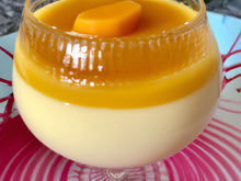Panna cotta Mangue-Spéculoos