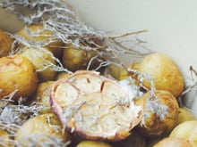 Cocotte de primeurs de Noirmoutier au sel gris