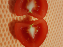 Tomate fraîcheur